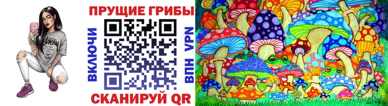 Галлюциногенные грибы MAGIC MUSHROOMS blacksprut сайт Семикаракорск